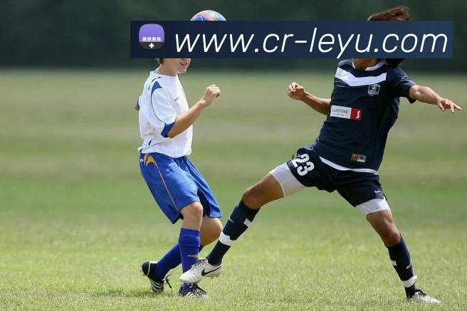 乐鱼体育APP 封面图