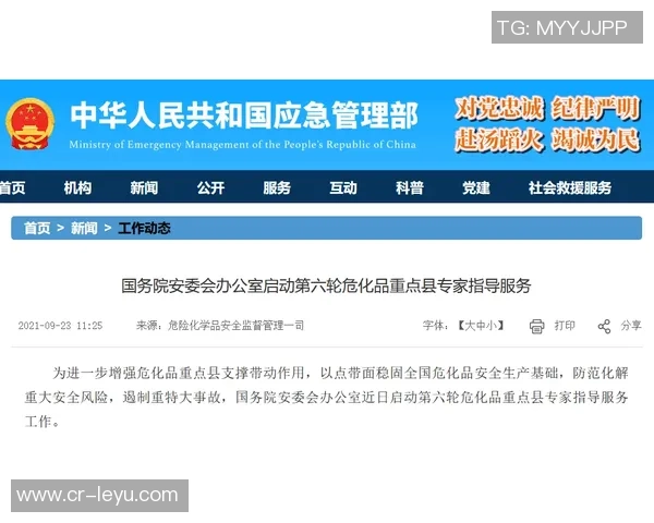 冬季转会期红军引进三名中卫新星分析风险与收益的赌博策略